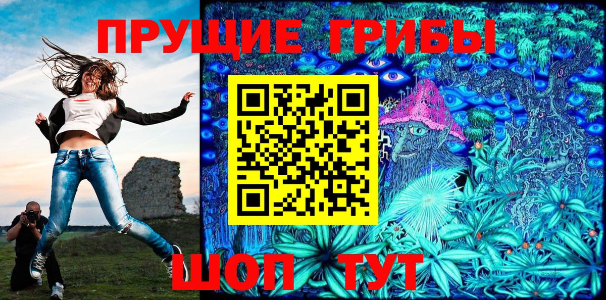 Псилоцибиновые грибы прущие грибы Вышний Волочёк