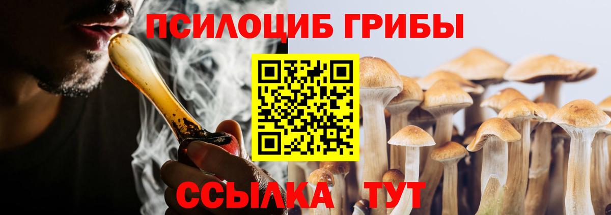 Псилоцибиновые грибы Psilocybine cubensis  Вход с VPN  Псилоцибиновые грибы Magic Shrooms  Вышний Волочёк 